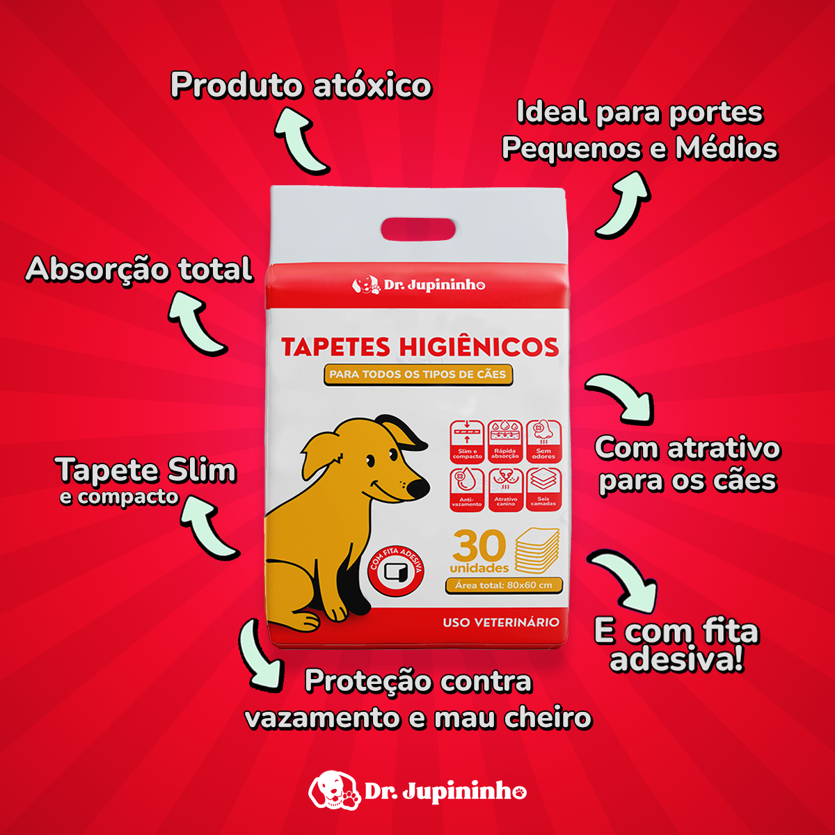 3 Pacotes de Tapete Higiênico Para Cães 60x80cm (90 Unidades) - Imagem 2