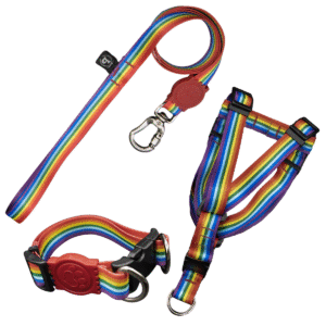 Coleira Peitoral Americano + Coleira de Pescoço Com Guia Para Cães (Modelo Arco-Íris)