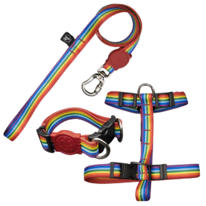 Coleira Peitoral H + Coleira de Pescoço Com Guia Para Cães (Modelo Arco-Íris)