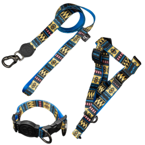 Coleira Peitoral Americano + Coleira de Pescoço Com Guia Para Cães (Modelo Asteka)