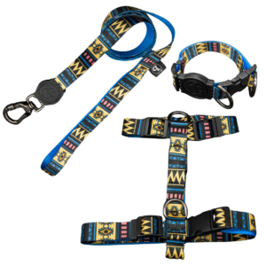 Coleira Peitoral H + Coleira de Pescoço Com Guia Para Cães (Modelo Asteka)