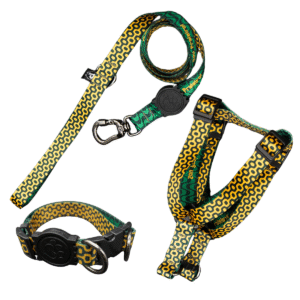 Coleira Peitoral Americano + Coleira de Pescoço Com Guia Para Cães (Modelo Calçadão de Ipanema)