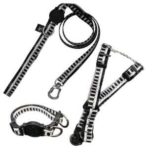 Coleira Peitoral Americano + Coleira de Pescoço Com Guia Para Cães (Modelo Arcos da Lapa)