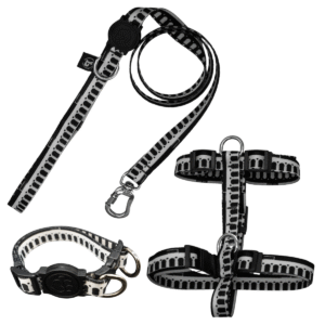 Coleira Peitoral H + Coleira de Pescoço Com Guia Para Cães (Modelo Arcos da Lapa)