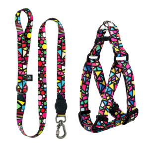 Coleira Peitoral Americano Para Cães + Guia Premium (Colorfull)