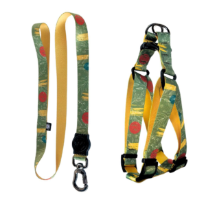 Coleira Peitoral Americano Para Cães + Guia Premium (Folhagem)