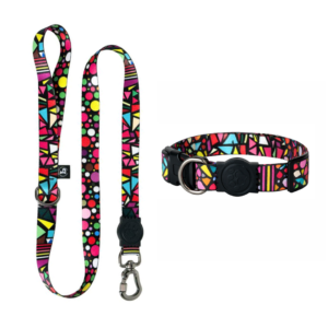 Coleira De Pescoço Para Cães + Guia Premium (Colorfull)