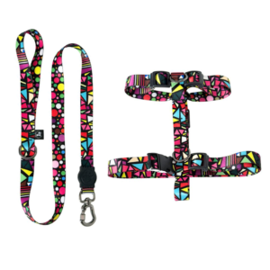 Coleira Peitoral H Para Cães + Guia Premium (Colorfull)